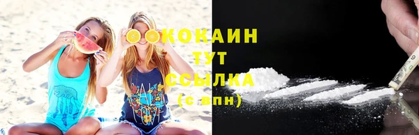 тгк Михайловск