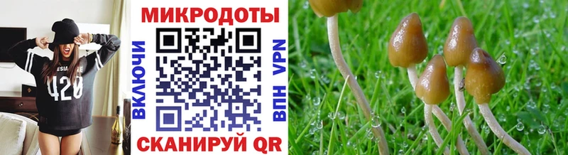 Псилоцибиновые грибы мицелий  Купить  Анадырь 